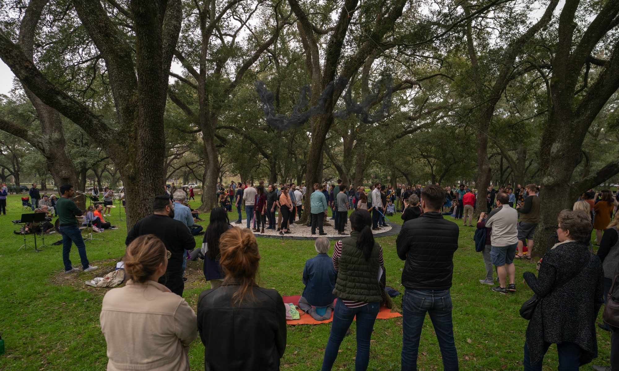 People standing in an oak grove watching a performance